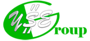 Young Star Express Group